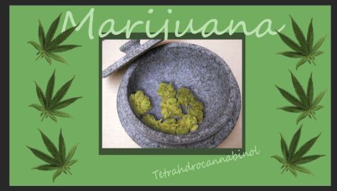 cannabis layout, 2